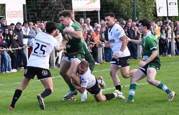 Rugby, Federal 2: condivisione di punti nel derby Vergt – Bergerac in Dordogna