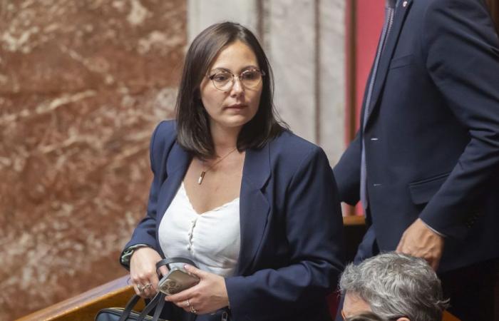 Bruno Retailleau riferisce alla giustizia le dichiarazioni della deputata bretone Marie Mesmeur