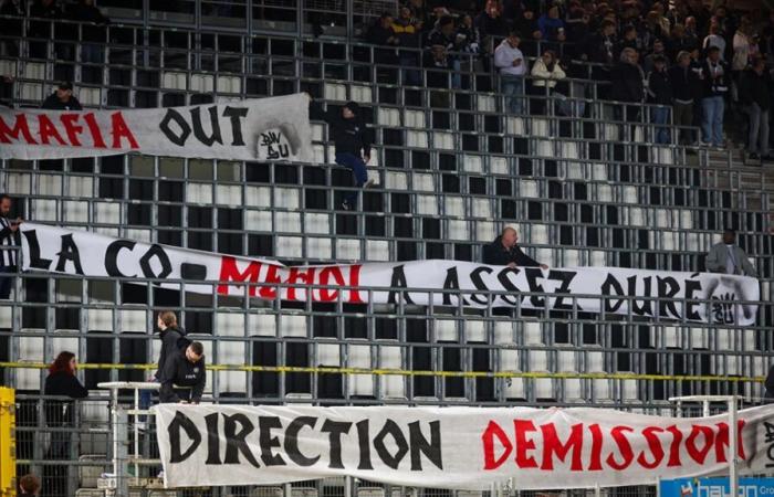 “Non ci meritate”: i tifosi dello Charleroi sono arrabbiati e si scatenano in tribuna contro Westerlo