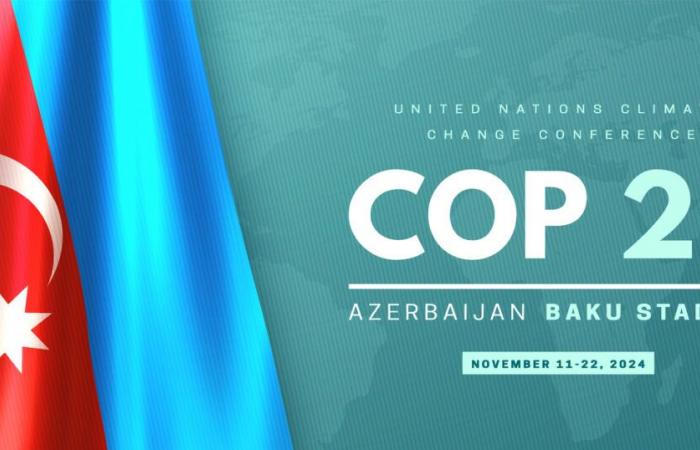 la chiave che potrebbe sbloccare il dibattito della COP 29