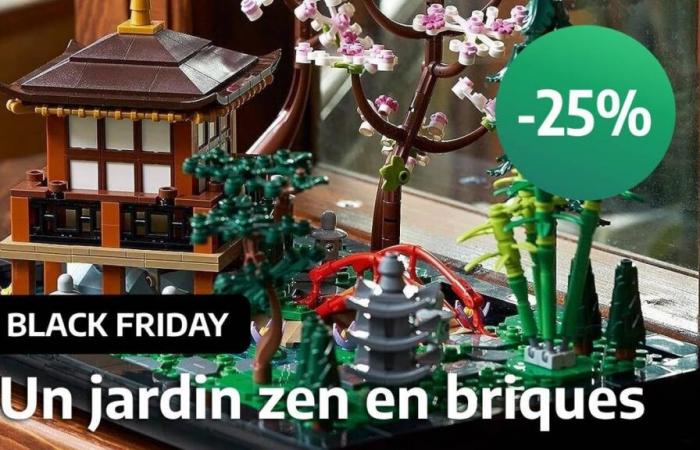 Il Black Friday abbassa del 25% il prezzo di LEGO The Peaceful Garden, uno dei migliori set per adulti da offrire a Natale