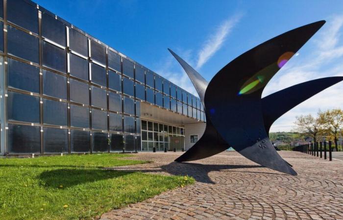 Il Museo d'Arte Moderna di Saint-Étienne riapre dopo un anno e mezzo di lavori