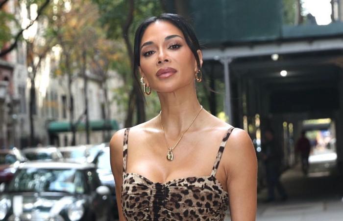 Nicole Scherzinger e Robin Antin, la creatrice delle Pussycat Dolls, hanno raggiunto un accordo dopo tre anni di processo