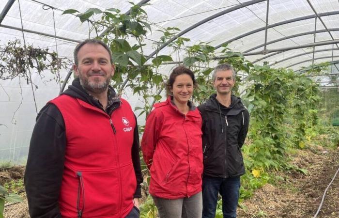 Un anno dopo la tempesta Ciaran, lenta ricostruzione per gli agricoltori biologici del Finistère