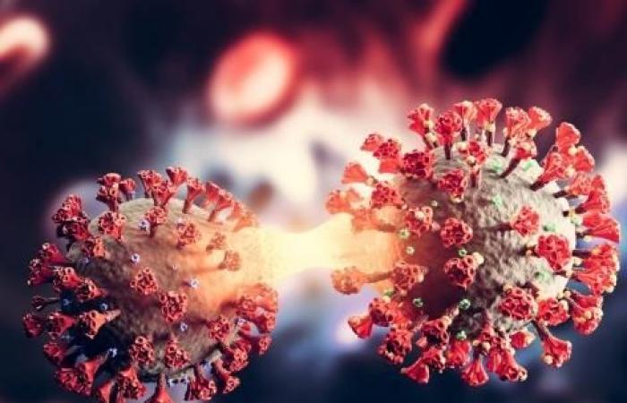 Il virus Covid-19 “ruba” le nostre proteine ​​per proteggersi dal sistema immunitario