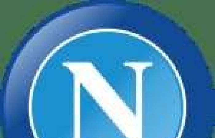 Il Napoli resiste all’Inter e mantiene il primo posto – Serie A – J12 – Inter-Napoli (1-1)