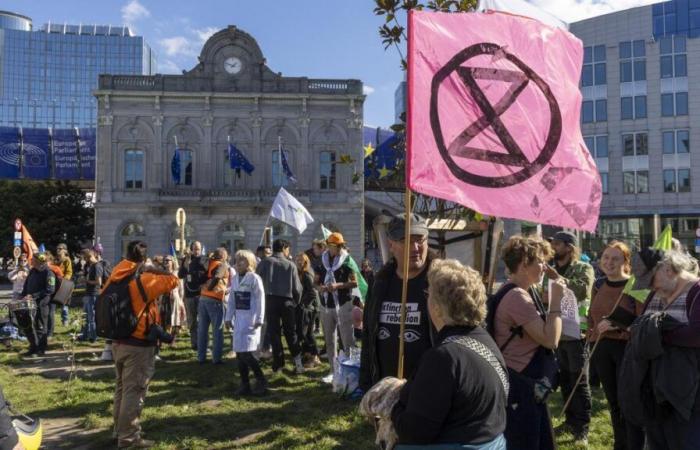 Nuova marcia per il clima nelle strade di Bruxelles questa domenica