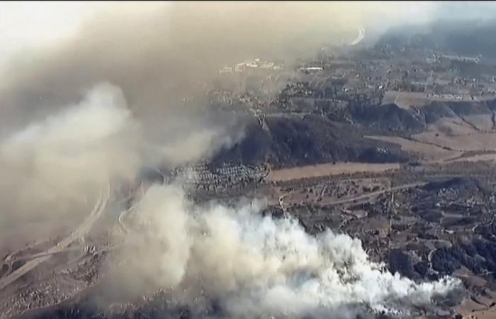 numerosi i vigili del fuoco mobilitati per fermare l'avanzata delle fiamme