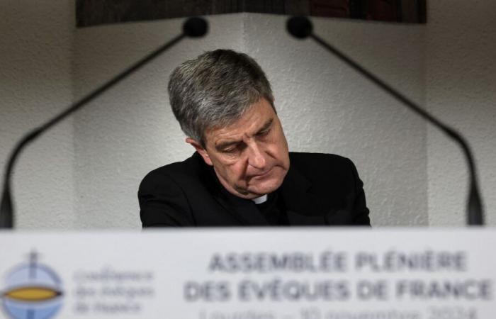 la Conferenza episcopale francese respinge gli annunci sul sostegno alle vittime adulte