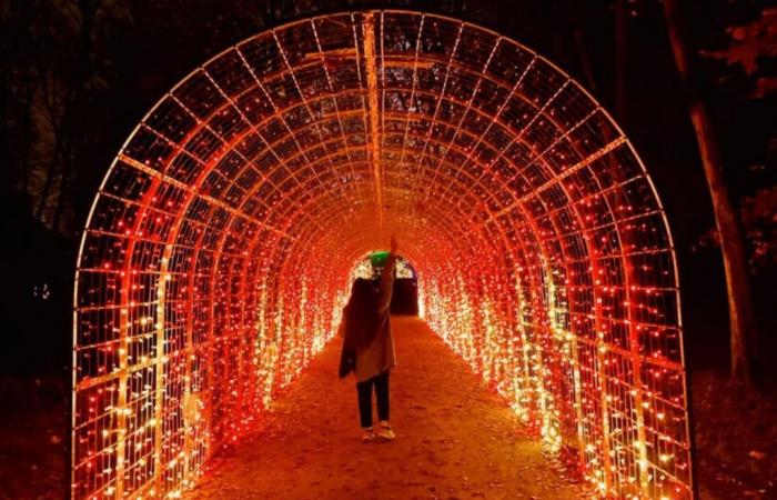 La tenuta di Saint-Cloud si veste di luci per un nuovo festival abbagliante