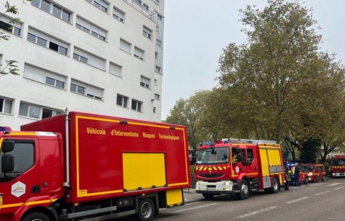 Giurò. Un forte odore di gas si diffonde per un'intera strada: intervengono 17 vigili del fuoco