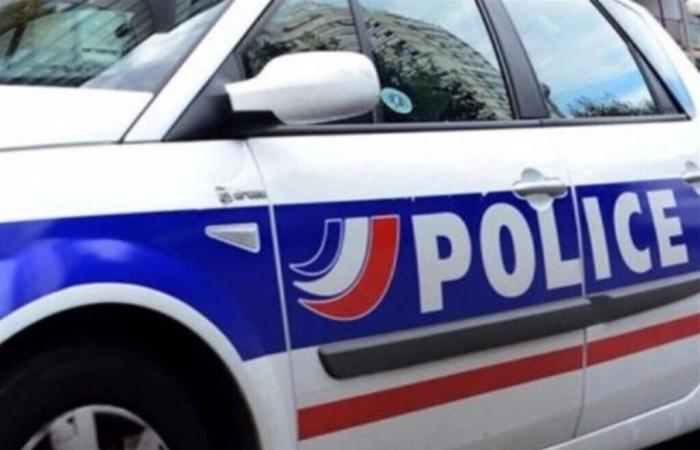 una donna in crisi controllata, agenti di polizia feriti