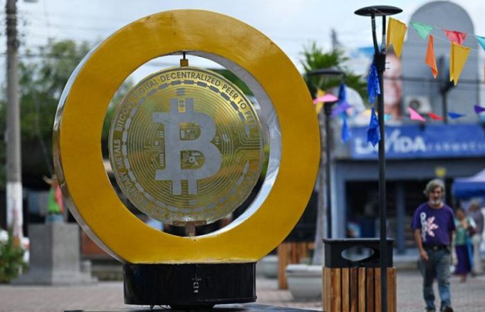 Ora supera gli 80.000 dollari: come le elezioni americane hanno fatto esplodere il prezzo del Bitcoin