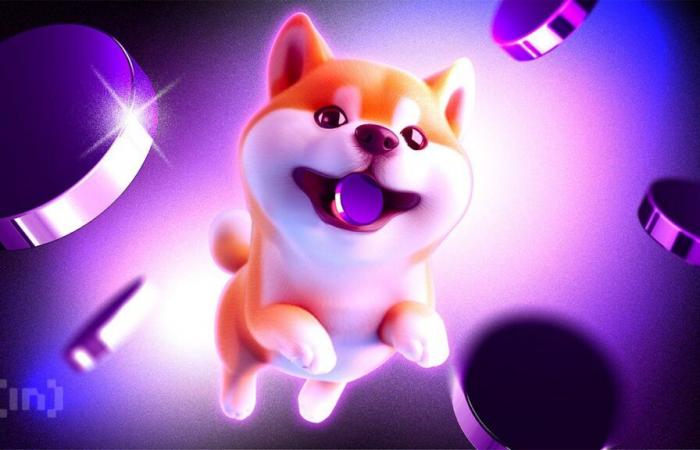 Shiba Inu guadagna più del 40% in 24 ore: cosa aspettarsi?