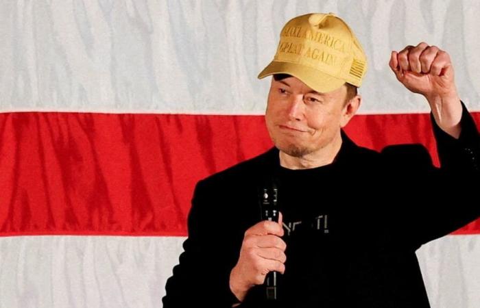 Dopo l’attacco a Scholz: anche Elon Musk definisce Habeck “folle” | politica