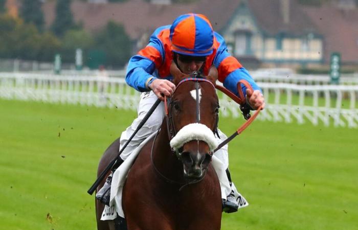 Saint-Cloud: Le promesse di Dynamitic