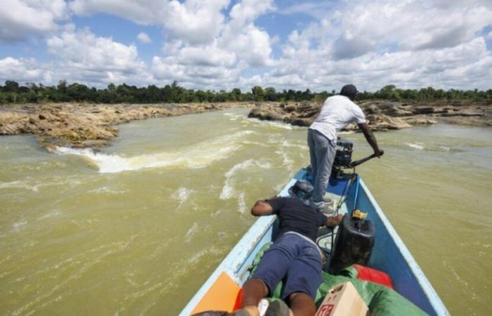 In Guyana, una siccità eccezionale sconvolge la vita quotidiana sui fiumi: News