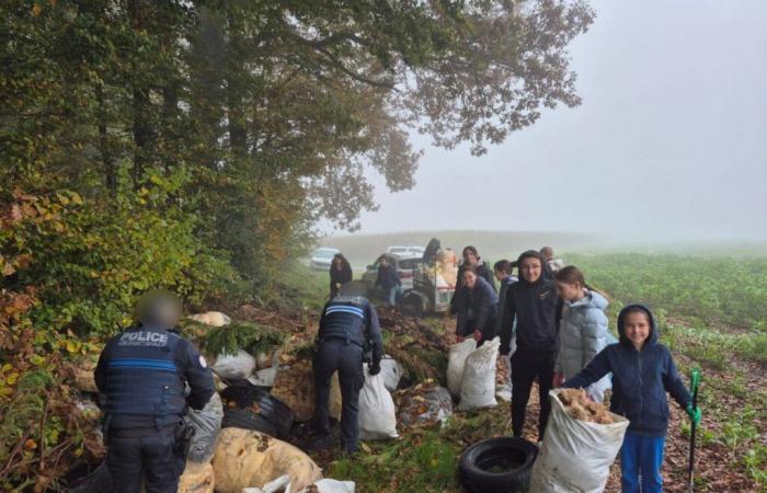 dei giovani raccolgono i rifiuti in una discarica abusiva a Laboissière-en-Thelle