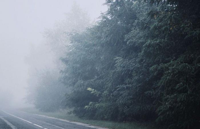 Fate attenzione se prendete la strada questa domenica mattina: Météo France annuncia foschia e nebbia nell'Aveyron