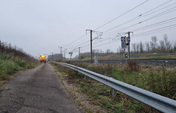 Alta Saona. Una persona muore investita da un treno tra Besançon e Belfort