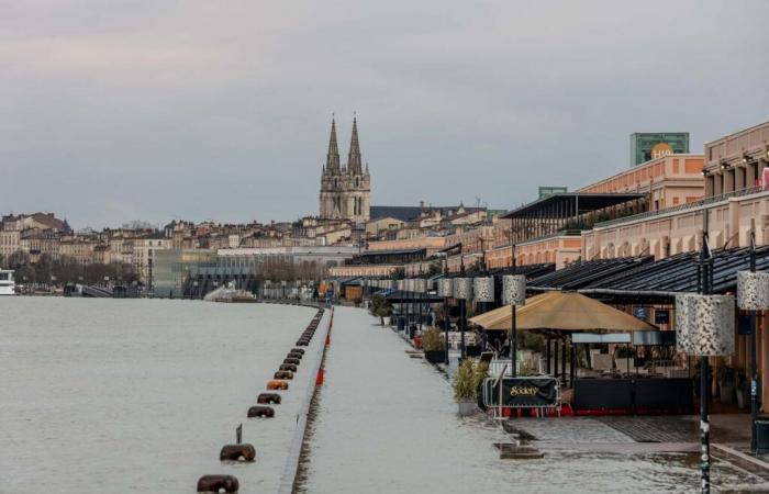 Un fenomeno del genere potrebbe verificarsi un giorno a Bordeaux?