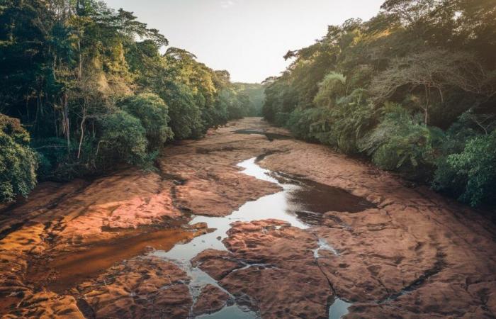 Una siccità eccezionale sconvolge la vita in Guyana