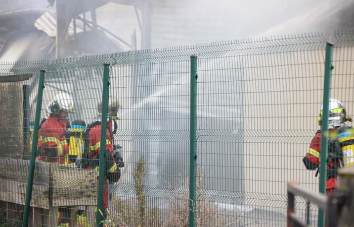 “Siamo crollati, ma ci rialzeremo”: un incendio devasta i laboratori Kuku la praline a Lons