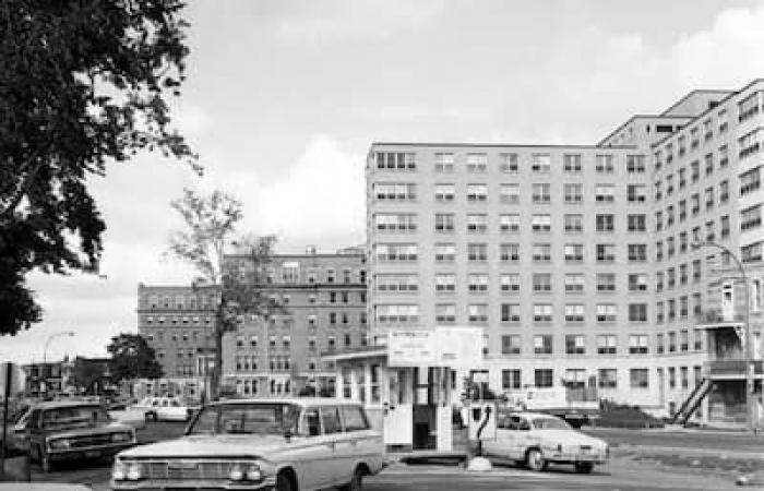 Un leone sul tavolo operatorio dell’ospedale Notre-Dame nel 1966