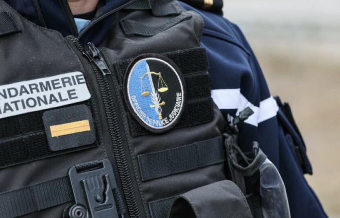 Savoia. Operazione antidelinquenza a Belleville: controllati 80 veicoli