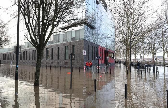 Un fenomeno del genere potrebbe verificarsi un giorno a Bordeaux?