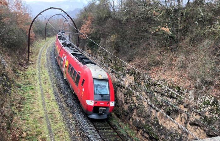 “L'obiettivo è valorizzare questo patrimonio ferroviario eccezionale…” La linea del Causses e dell'Aubrac sulla strada giusta