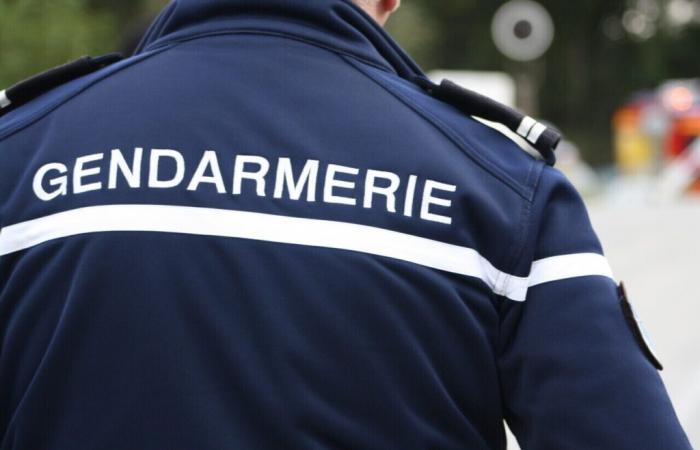 preoccupante scomparsa di una ragazzina di 12 anni nel Morbihan