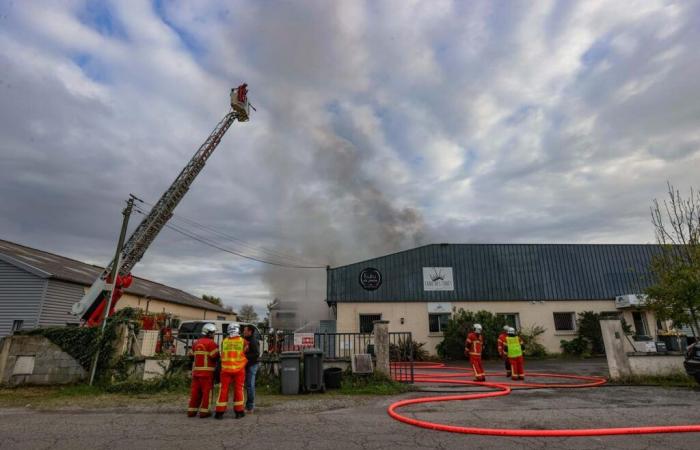 “Siamo crollati, ma ci rialzeremo”: un incendio devasta i laboratori Kuku la praline a Lons