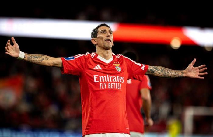 Benfica e Di María regalano l'FC Porto – Liga Portogallo – J11 – Benfica-Porto (4-1)