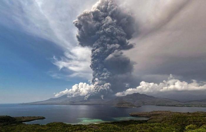 Il Papa spera che la COP29 sia efficace nel proteggere la Casa comune