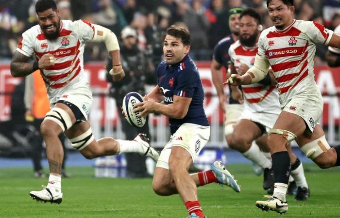 XV di Francia: “Minaccia”, gli All Blacks “al top del loro rugby”… Antoine Dupont e i Blues si aspettano un grande shock contro la Nuova Zelanda