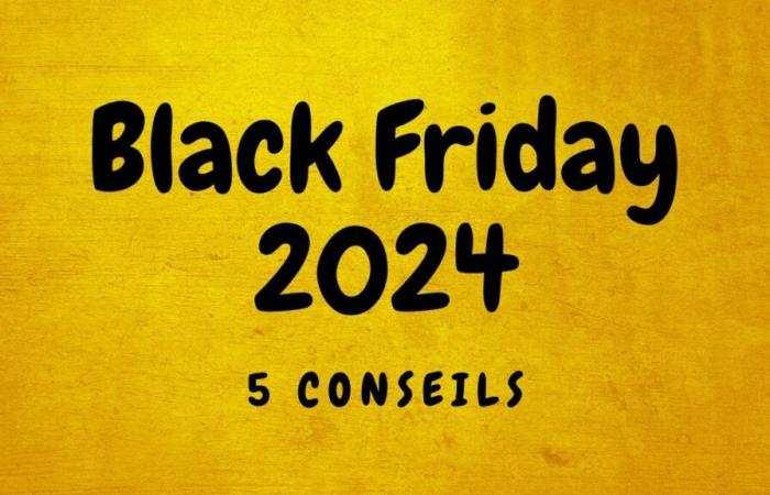 Black Friday 2024: questi 5 consigli ti aiuteranno a trovare le migliori offerte