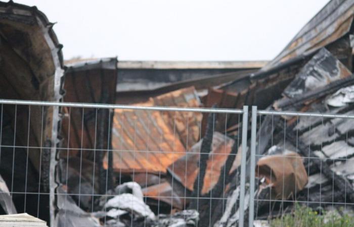 Dopo l’incendio nel suo laboratorio, Christine Sauzeau cerca di ricostruirsi con l’aiuto dei colleghi