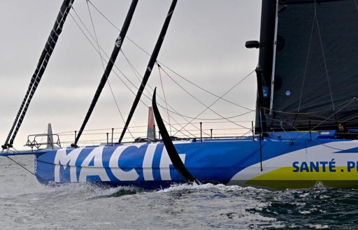 Vendée Globe 2024: Dalin in testa, danni per Coleman e Herrmann… La classifica della gara all'11 novembre