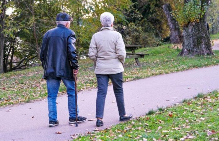 Pensioni: quattro grandi novità previste per il 2025