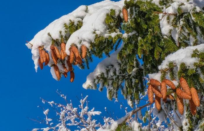 In Svizzera il freddo sta arrivando e la neve non sarà lontana