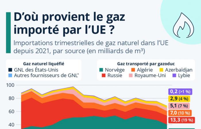 Grafico: principali fornitori di gas dell’Unione Europea nel tempo