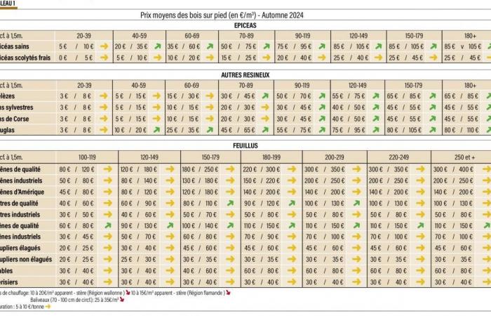 Prezzo medio del legname in piedi per l’autunno 2024