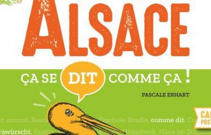 “In Alsazia si dice così”: un libro per comprendere le espressioni alsaziane