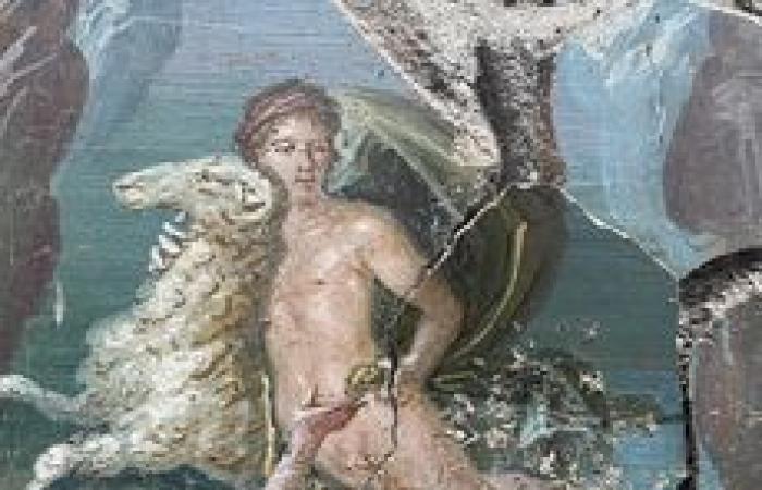 Pompei: le analisi del DNA svelano la vera storia delle vittime dell’eruzione del Vesuvio