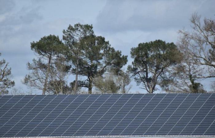 il fotovoltaismo nel menu del Consiglio comunitario