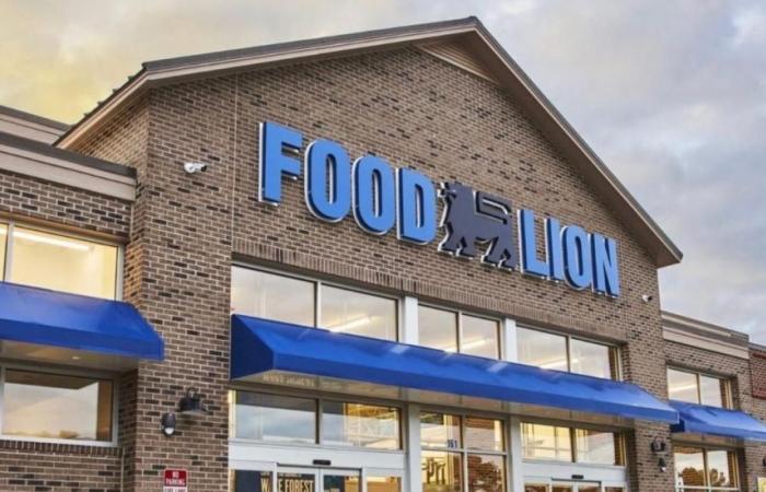 Food Lion colpito da un attacco informatico nella Carolina del Nord