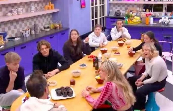 Pubblico 16:15: “Una domenica in campagna” su France 2, molto più avanti del quotidiano “Star Academy” che raccoglie poco più di 1,1 milioni su TF1