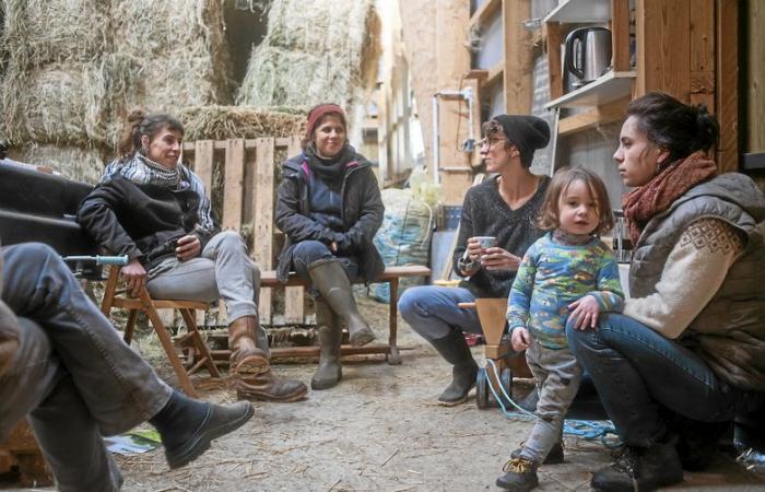 Larzac, sublime nell’obiettivo di Philémon d’Andurain