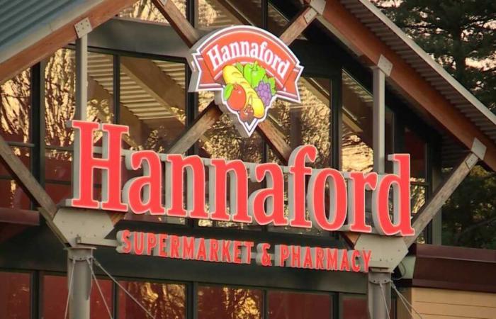 La società madre di Hannaford afferma che i problemi di sicurezza informatica hanno interessato i servizi